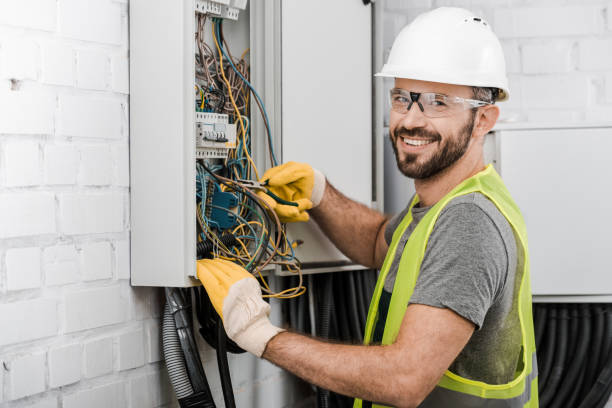 Best Ceiling Fan Installation Electrician  in Palm Harbor, FL