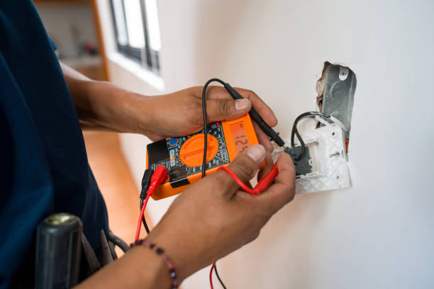 Best Electrician for Home Renovation  in Palm Harbor, FL