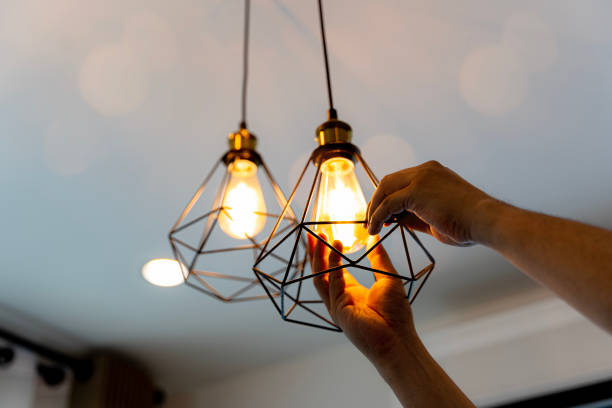 Best Affordable Electrician  in Palm Harbor, FL