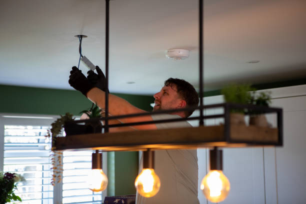 Best Electrical Troubleshooting Services  in Palm Harbor, FL