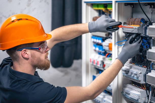 Best Local Electrician Companies  in Palm Harbor, FL