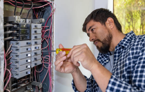 Best Industrial Electrical Services  in Palm Harbor, FL
